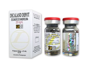 DECALAND DEPOT LANDERLAN 200MG - 5 ML / 1 ML