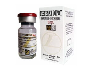 TESTENAT ENANTATO LANDERLAN 250MG/4ML